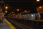 Platforms at Millennium Park Station